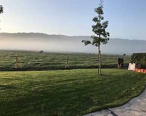 Misty morning landscape at Pladutse Gite vacation home in Kluisbergen, East Flanders.