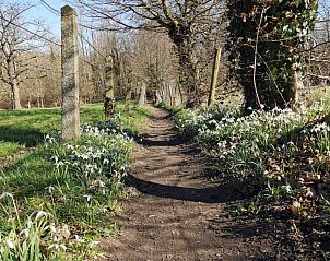 Guest house 0213101 - Holiday property East Flanders - De Groene Hoeve