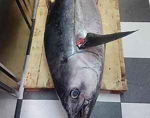 Verblijf 0215204 - Vakantiewoning Costa de la Luz - El Campanario