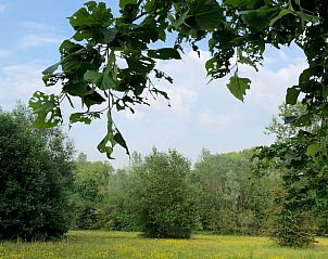 Guest house 0226101 - Holiday property East Flanders - Vakantiehuisje in Erwetegem