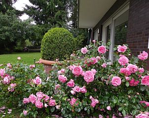 Guest house 02410104 - Apartment Hessen - Appartement Haus Eicihh�lzchen