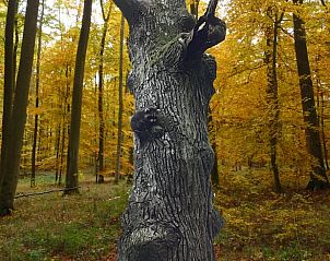 Verblijf 02412107 - Vakantiewoning Hessen - Huisje in Waldeck