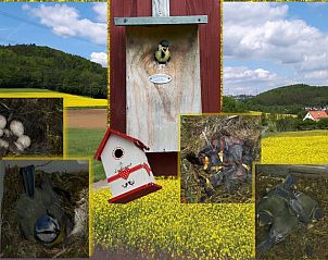 Verblijf 02412107 - Vakantiewoning Hessen - Huisje in Waldeck