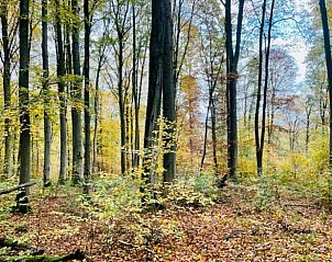 Verblijf 02436901 - Vakantiewoning Hessen - Vakantiehuis in Bad Karlshafen