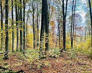 Verblijf 02436902 - Vakantiewoning Hessen - Huisje in Bad Karlshafen