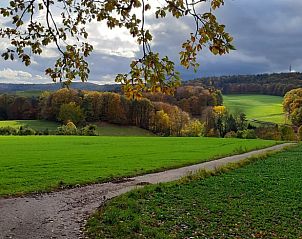 Verblijf 0249703 - Vakantiewoning Hessen - Vakantiehuisje in Reichelsheim