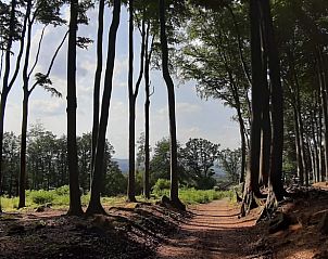 Verblijf 0249703 - Vakantiewoning Hessen - Vakantiehuisje in Reichelsheim