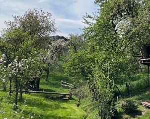 Verblijf 0249703 - Vakantiewoning Hessen - Vakantiehuisje in Reichelsheim