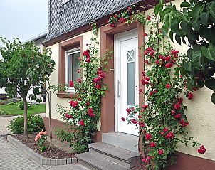Guest house 02530401 • Holiday property Eifel / Mosel / Hunsrueck • Vakantiehuis Haus Irmgard 