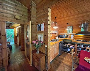 Guest house 02530801 - Holiday property Eifel / Mosel / Hunsrueck - Vakantiehuis Birdieferienhaus