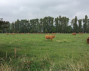 Guest house 02545201 - Apartment Eifel / Mosel / Hunsrueck - Ferienwohnung Panoramablick