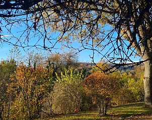 Verblijf 02547003 - Vakantiewoning Eifel / Moezel / Hunsrück - Vakantiehuis in Abenden