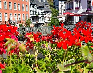 Verblijf 02547003 - Vakantiewoning Eifel / Moezel / Hunsrück - Vakantiehuis in Abenden