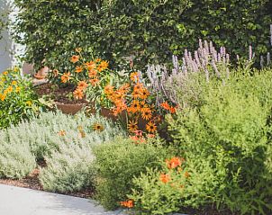 Verblijf 02610501 - Vakantiewoning Noordrijn-Westfalen - Huisje in Goch