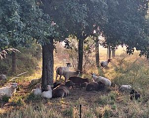 Verblijf 02612801 - Vakantiewoning Noordrijn-Westfalen - Vakantiehuisje in Neukirchen Vluyn