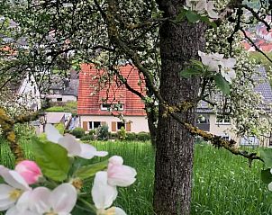 Enjoy the blooming nature surrounding the vacation home 
