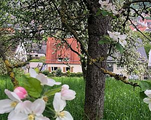 Verblijf 02640605 • Vakantiewoning Noordrijn-Westfalen • Huisje in Dalhausen 