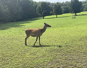 Verblijf 02642401 - Vakantiewoning Noordrijn-Westfalen - NW076