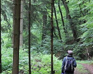 Verblijf 02720601 - Vakantiewoning Rijnland-Palts - Vakantiehuis in Pfaffenseifen