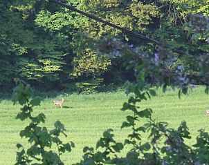 Verblijf 02720601 - Vakantiewoning Rijnland-Palts - Vakantiehuis in Pfaffenseifen