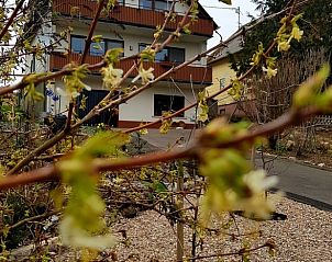 Unterkunft 02728901 • Ferienhaus Rheinland-Pfalz • Huisje in Wirschweiler 