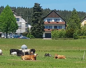 Huisje in Wirschweiler, vakantiehuis in Rijnland-Palts met uitzicht op groene weiden en grazende koeien.