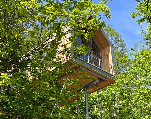 Unterkunft 02729205 • Ferienhaus Rheinland-Pfalz • Huisje in Annweiler am Trifels 