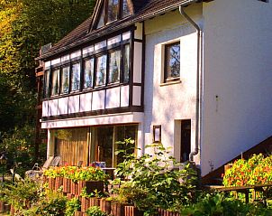 Guest house 0274802 - Apartment Rhineland-Palatinate - Appartement Chalet Wiedfluh in Waldbreitbach