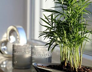 Verblijf 02817703 - Vakantiewoning Sauerland (Winterberg) - Huisje in Winterberg - Niedersfeld