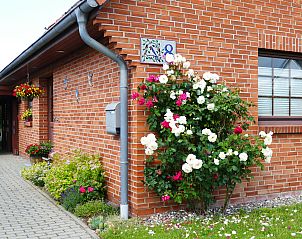 Guest house 03021503 • Apartment Baltic Sea • Schwalbenring nahe Karls Erdbeerhof 