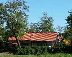 Guest house 030248 - Holiday property Terschelling - De Trekvogels