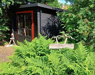 Guest house 030248 - Holiday property Terschelling - De Trekvogels