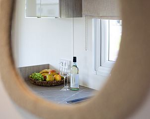 Guest house 030254 - Chalet Terschelling - Rhobin