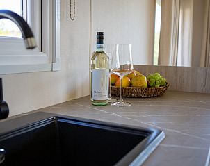 Guest house 030254 - Chalet Terschelling - Rhobin