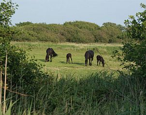Guest house 030373 - Chalet Terschelling - De Branding