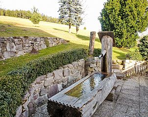 Verblijf 03112602 - Appartement Zwarte Woud - Appartement Schuler