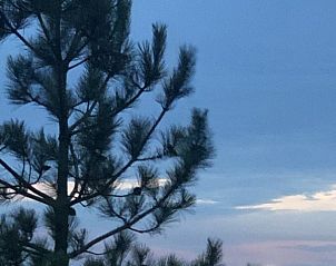 Unterkunft 031301 - Ferienhaus Terschelling - BosenDuin