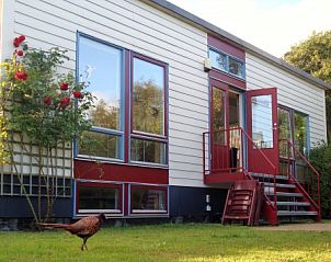 Unterkunft 031548 - Bungalow Terschelling - Glissando