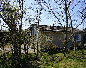 Unterkunft 031574 - Chalet Terschelling - Dunamar