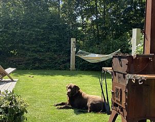 Unterkunft 031576 - Ferienhaus Terschelling - Duumke