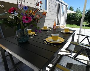 Guest house 031580 - Chalet Terschelling - 't Snitserleven Chalet