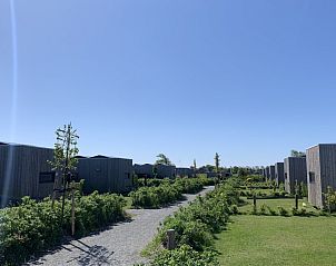 Unterkunft 031582 - Ferienhaus Terschelling - Kleine Walvis