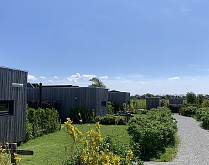Unterkunft 031582 - Ferienhaus Terschelling - Kleine Walvis