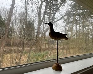 Unterkunft 031586 - Ferienhaus Terschelling - Duinhuis