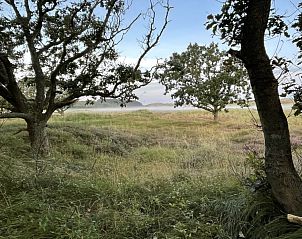 Unterkunft 031586 - Ferienhaus Terschelling - Duinhuis