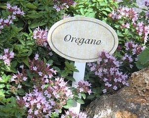 Ontdek de kruidenrijke tuin bij Ferienhof am Biberbach, Hrselberg-Hainich, Duitsland, met geurige oregano in bloei.