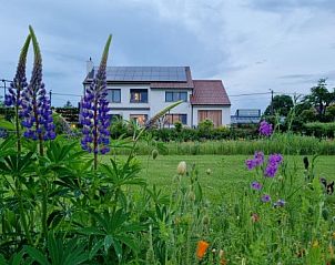 Villa Veldzicht in Glabbeek, Belgi met kleurrijke tuin in bloei.