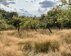Verblijf 03225801 - Vakantiewoning Thüringen - Vakantiehuis in Leinefelde-Worbis