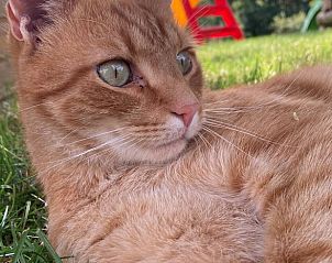 Verblijf 03225801 - Vakantiewoning Thüringen - Vakantiehuis in Leinefelde-Worbis