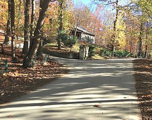 Toegangsweg naar Trumpet House vakantiehuis in Kessel-Lo, Vlaams-Brabant, Belgi, omgeven door herfstbomen.